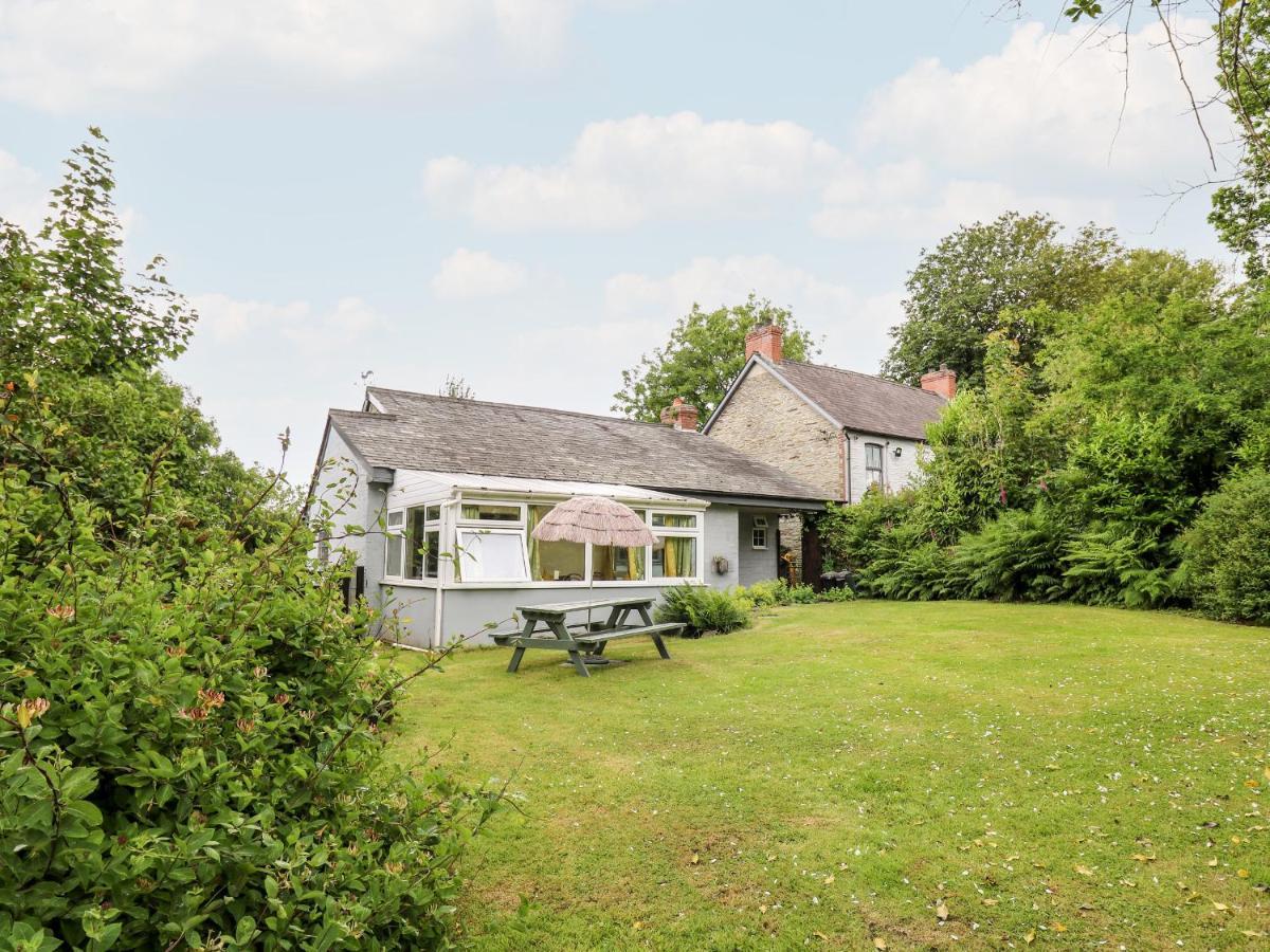 Maesgwyn Villa คาร์ดิแกน ภายนอก รูปภาพ